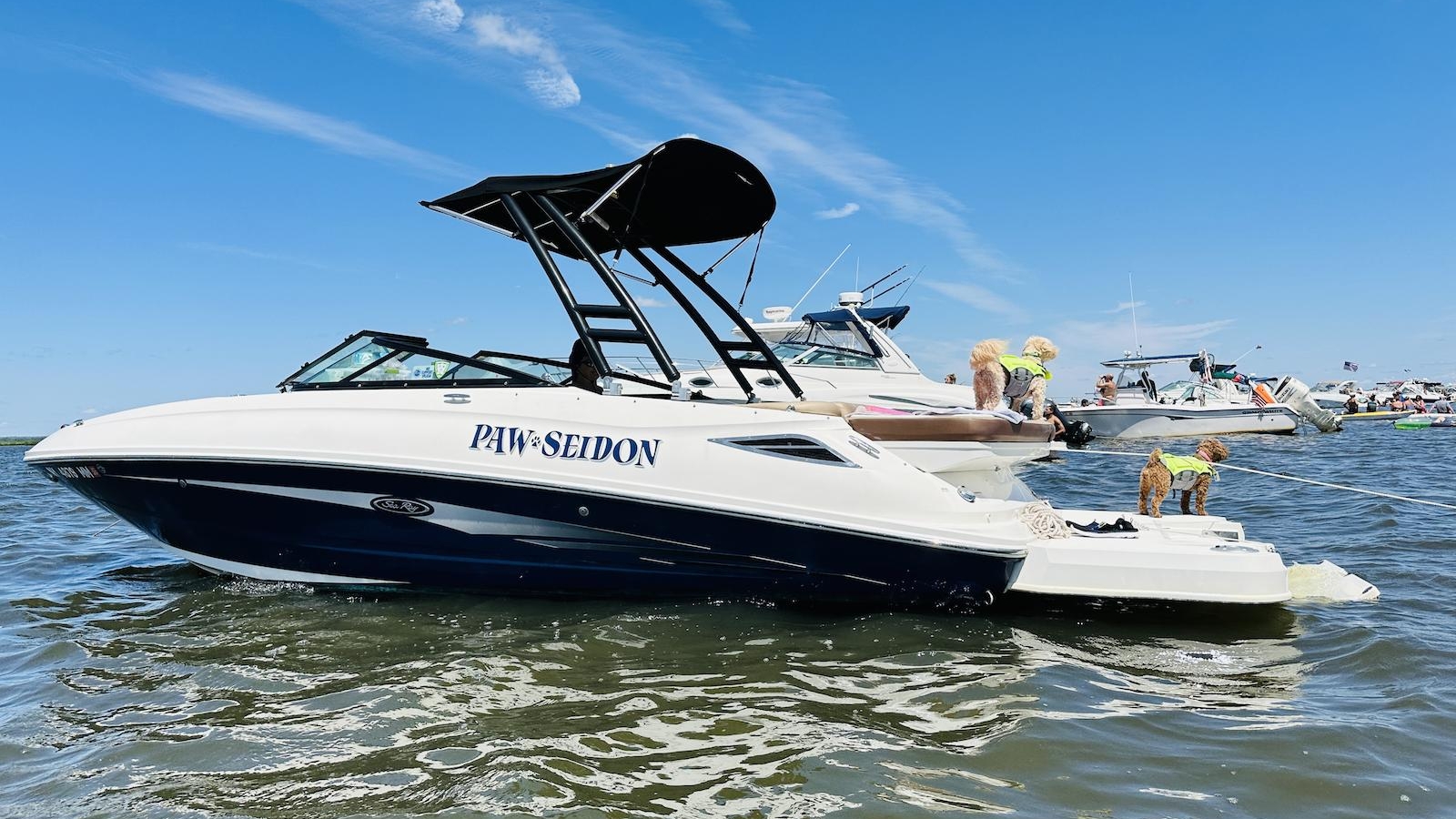 2017-sea-ray-sdx-240-power-9755523-20250411131637300-1_XLARGE.jpg