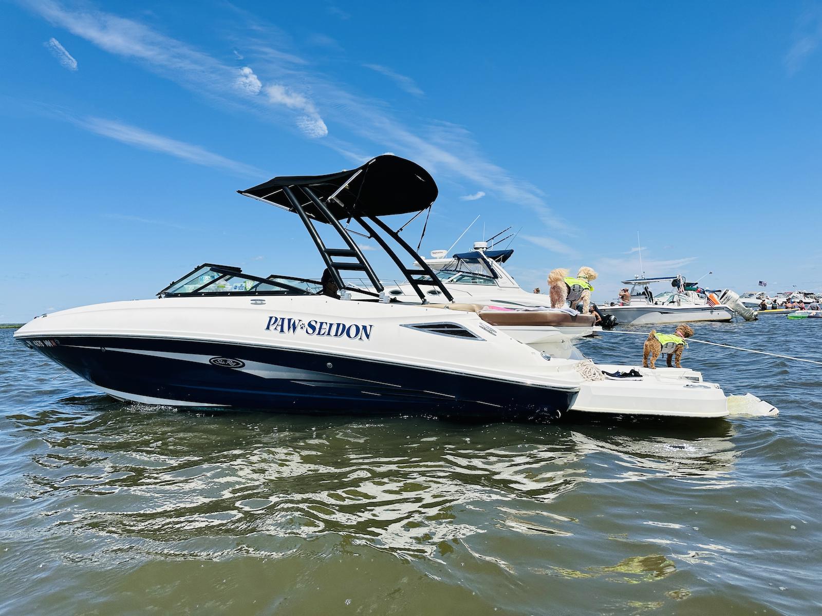 2017 Sea Ray SDX 240