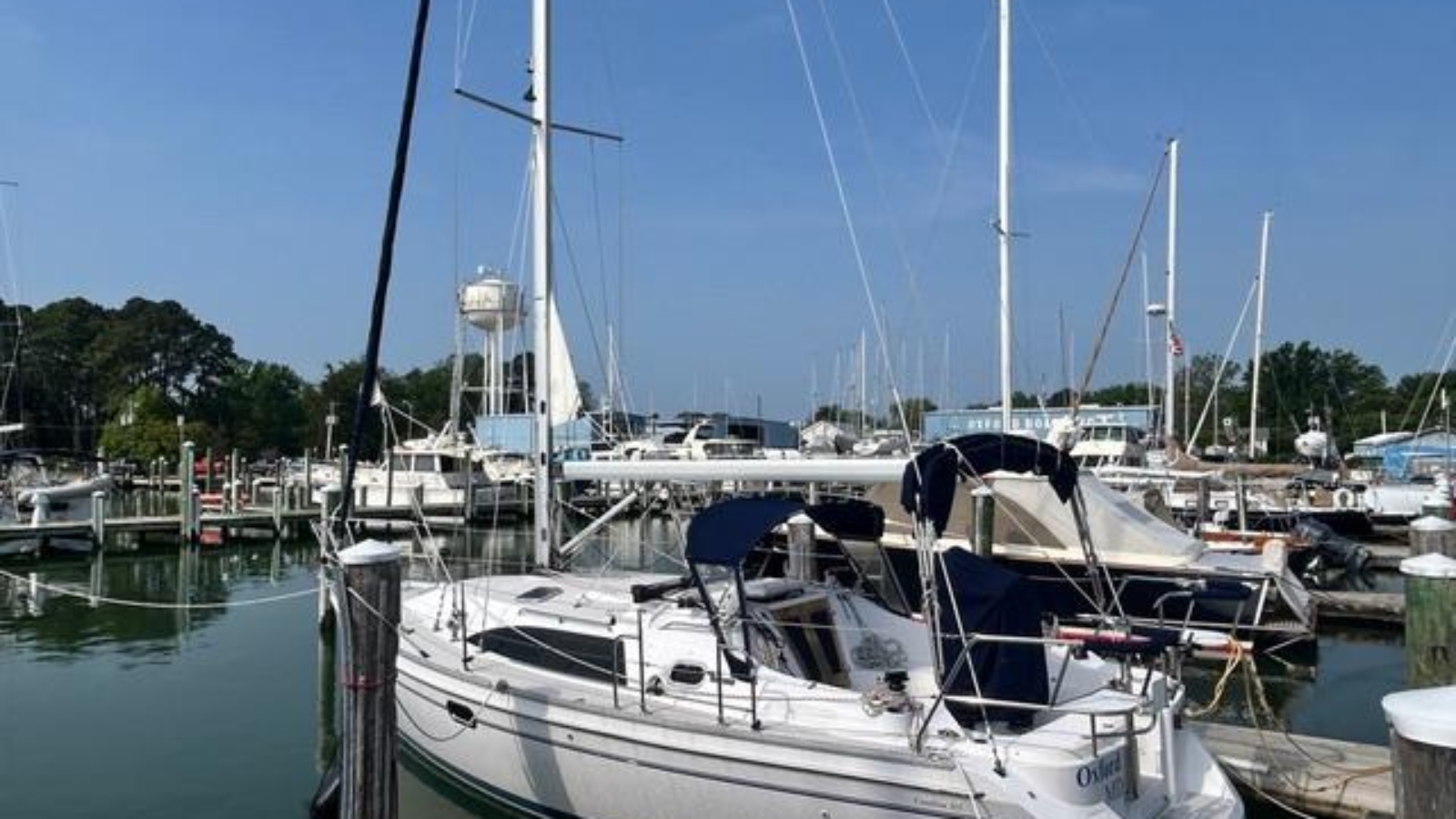 2015-catalina-315-sail-9797948-20250517115909703-1_XLARGE.jpg