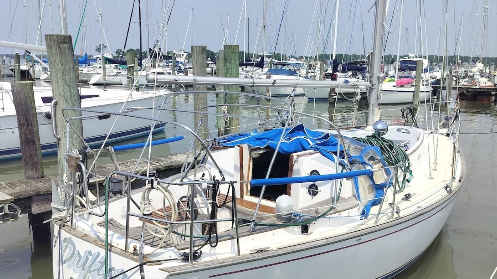 1983-morgan-32-3-sail-9842151-20250617130221599-1.jpg
