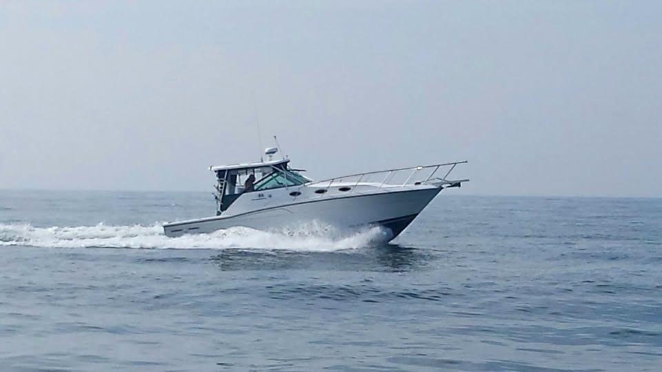 1998 Wellcraft 330 Coastal