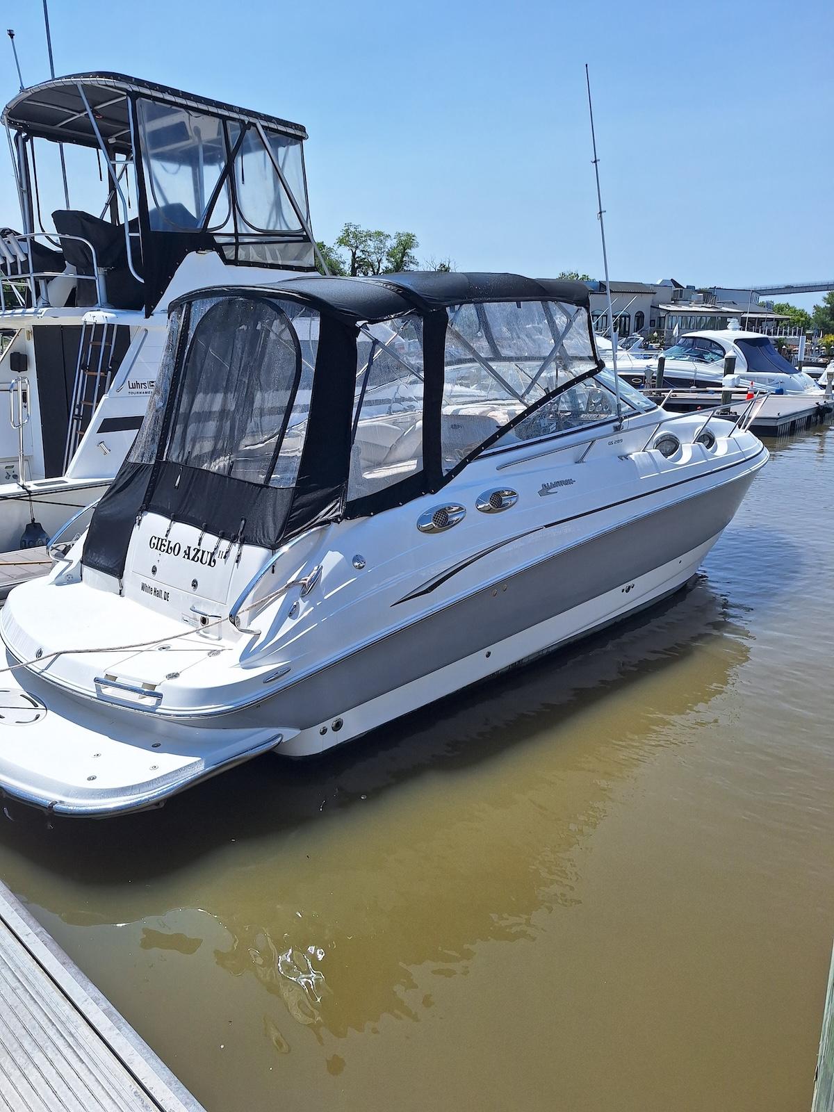 2010 Glastron GS 289