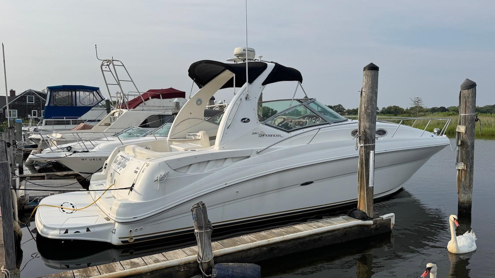 2003-sea-ray-320-sundancer-power-9897198-20250805140447064-1.jpg