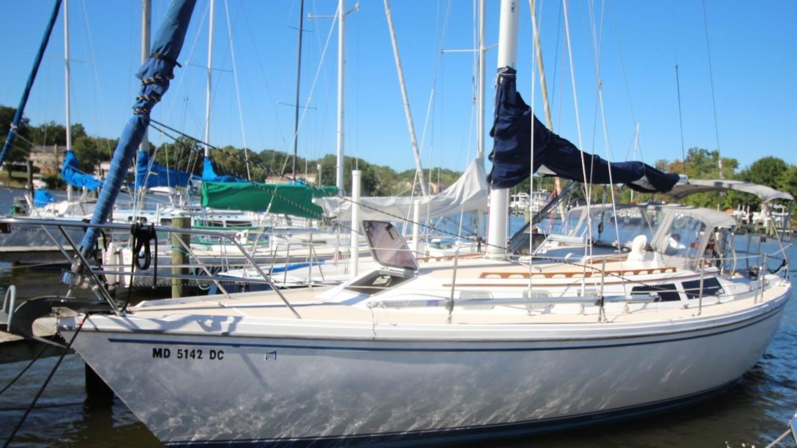 1988-catalina-34-sail-9967313-20251003025503419-1.jpg