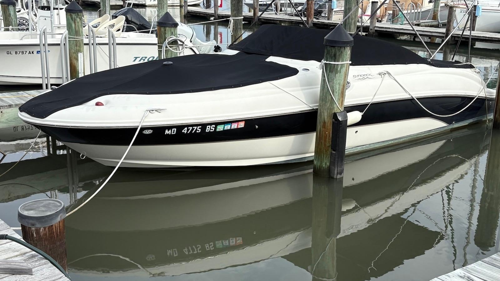 2004-sea-ray-240-sundeck-power-9967345-20251003032944237-2.jpg