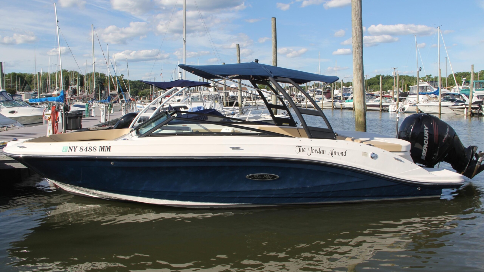 2018-sea-ray-spx-230-outboard-power-10222975-20260617103641107-4.jpg