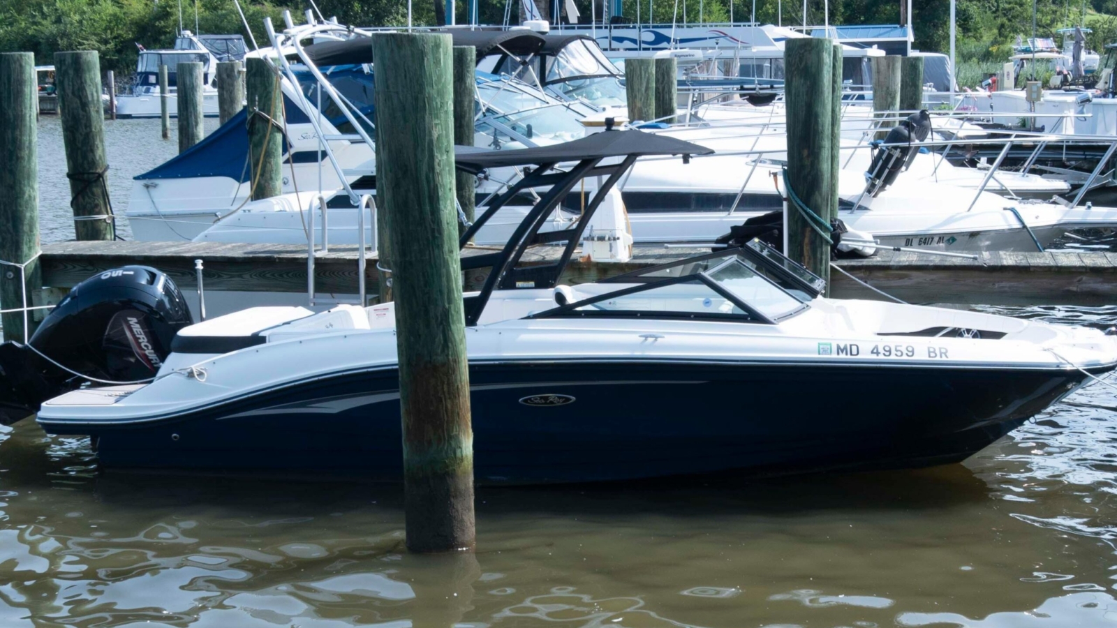 2022-sea-ray-spx-210-power-10258358-20260722102047713-2.jpg